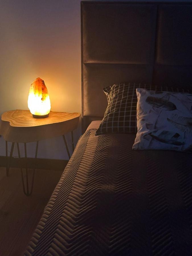 Apartloft 64 Apartament Zator Dış mekan fotoğraf